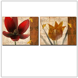 Miguel Paredes 'Flores I & II' Canvas Art
