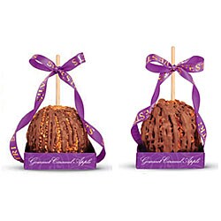 Large Gourmet Caramel Apples with Peanut/Pecan Milk Chocolate Drizzle (Pack of 2)
