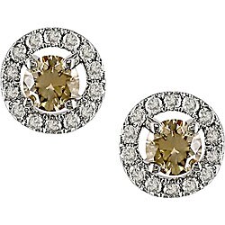 14k Gold 1/2ct TDW Brown/ White Diamond Earrings (H-I, I1-I2)