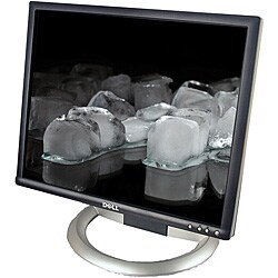 Dell 1905FP 19-inch Flat Panel Display LCD Monitor (Refurbished)