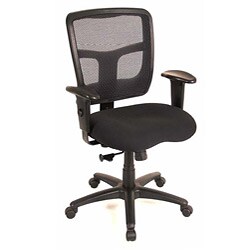 Ergo Value Mesh Medium Back Task Chair