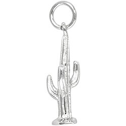 Sterling Silver Cactus Charm