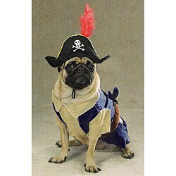 Pet Halloween Costume