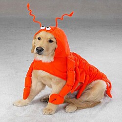 Lobster Paws Dog Halloween Costume
