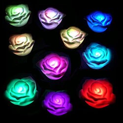 Rose LED Lights