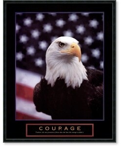 'Courage - Eagle and Flag' Framed Art Print