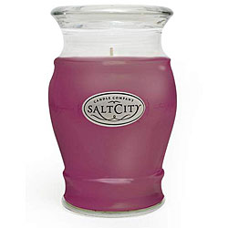 Plum Spice 26-ounce Scented Salt City Candle