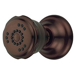 DanzeTwo Function Wall Mount Body Spray 