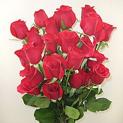 (Pre-Order) Two-for-one Red Rose Stimulus Package