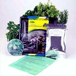 Indoor Medicinal Herb Garden Starter Kit
