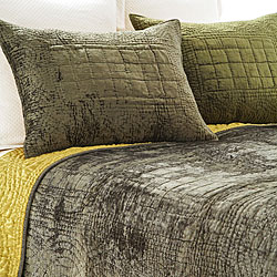 Pine Cone Hill Velvet Iguana Quilt Set