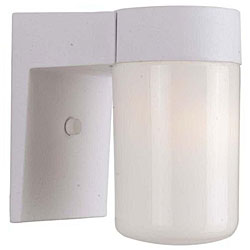 White Finish One-light Outdoor Wall Fixture