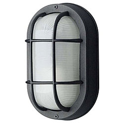 Black Diecast Aluminum 1-light Outdoor Wall Fixture