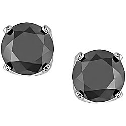 Duplicate 12053661