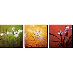 Don Li-Leger 'Karma' Custom-Printed Canvas Giclee