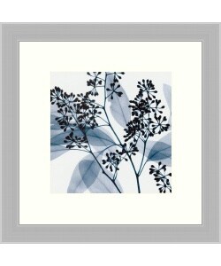 Steven N. Meyers 'Eucalyptus II' Framed Art Print