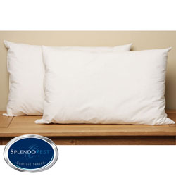 Angel Soft Traditional Queen-size Sleeping Pillows (Pack of 2)