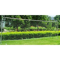 Daytona 24x8-feet Regulation Steel Soccer Goal with Net