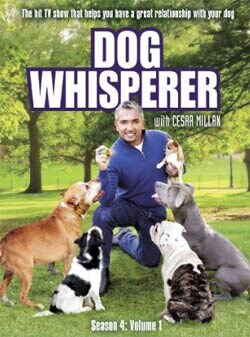 Dog Whisperer with Cesar Millan Season 4 Vol. 1 (DVD)