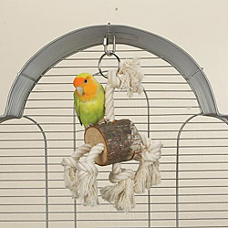 Brainy Bird Natural Knots 'Rope Swing' Bird Toy