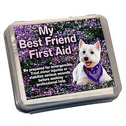 Best Friend Hardshell Case First Aid Kit