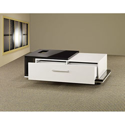Separated Storage Coffee Table
