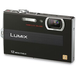 Panasonic Lumix DMC-FP8-K 12.1 MP Black Digital Camera