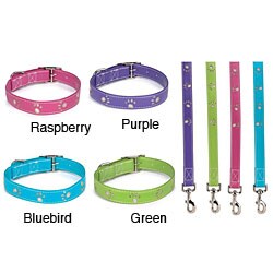 Sparkle Paw 18-inch Dog Collar and Lead Set