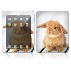 'Sweetness Rabbit' Apple iPad Decal Skin