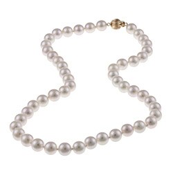 14k Yellow Gold White Akoya Pearl Necklace (8-8.5mm)