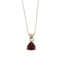 FJC 14k Gold Garnet Necklace