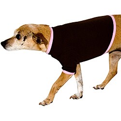 American Apparel Brown/Pink Baby Rib Dog Tee