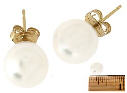 Cultured Akoya Pearl Earrings (8.5-9 mm) (Case of 4)
