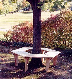 Large Cedar Adirondack Tree Bench