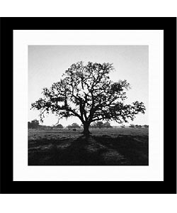 Ansel Adams Oaktree, Sunrise, Northern California, 1966 Framed Print