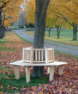 Small Cedar Adirondack Tree Bench with Back