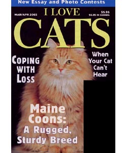 I Love Cats