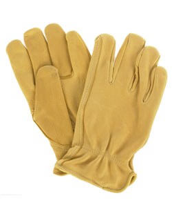 Daxx Premium Grain USA Deerskin Leather Gloves - 2 pack same size