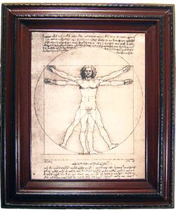 Da Vinci - Vitruvian Man Framed Canvas