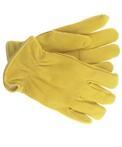 Daxx USA Deerskin Leather Gloves w/Thinsulate - 2 pack same size