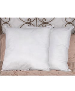 Down Alternative European Square Pillows (Set of 2)