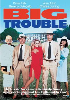 Big Trouble (DVD)