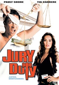Jury Duty (DVD)