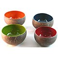 Set of 4 Handcrafted Lacquered Coconut Bowls (Vietnam)