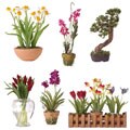 Set of Six Miniature Silk Floral Arrangements