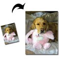 Create-your-Own Custom Canvas Art (11 in.  x 14 in.)