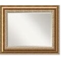 Vienna Bronze Mirror