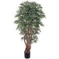 Ruscus 5-foot Silk Tree