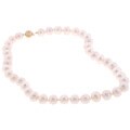 14k Cultured Freshwater Pearl Strand (9-10mm/16in)