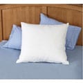 Natural Eurosquare Pillows (Set of 2)